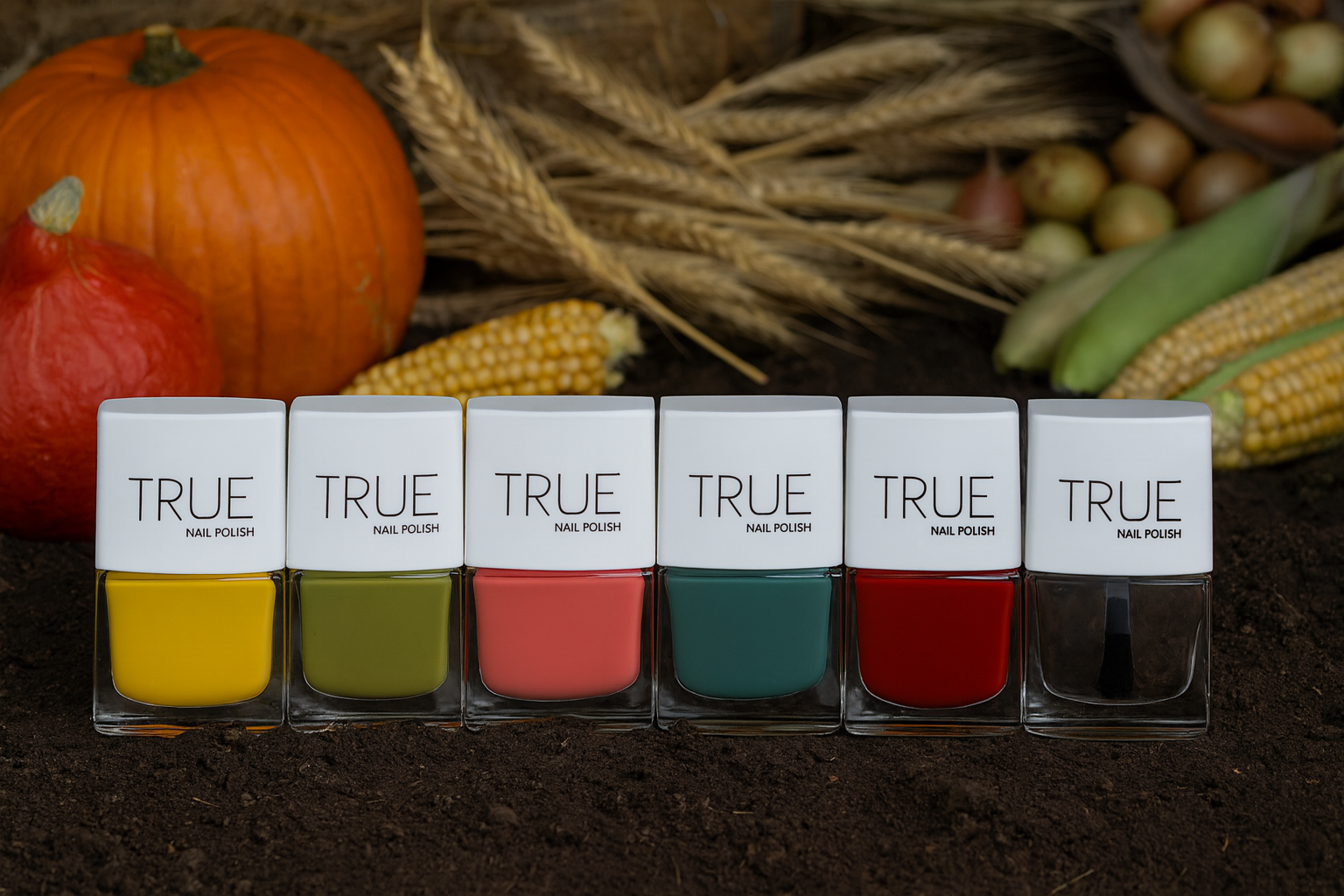 Harvest Hues Collection